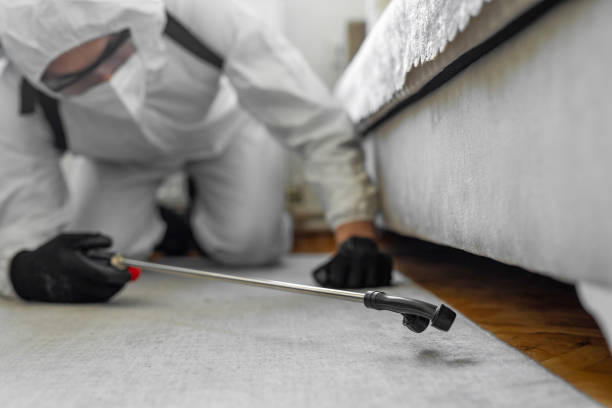 Professional Bed Bug Control technician working in Salem, IN