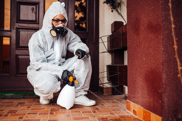 Reliable Bed Bug Control contractor in Salem, IN by Nex Pest Control